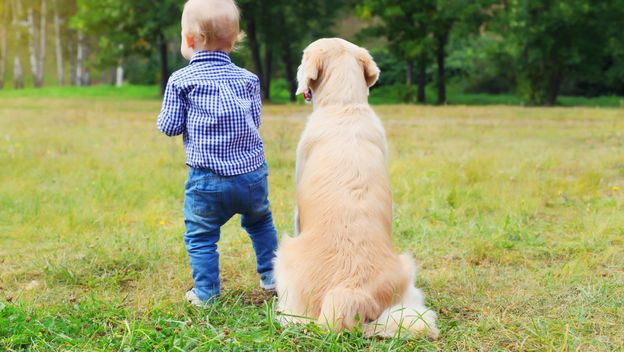 Dijete i pas