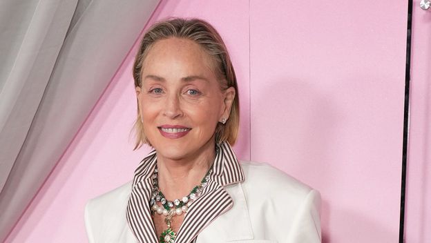 Sharon Stone u prugastom kompletu na događanju Fashion Trust U.S. Awards u Los Angelesu - 4