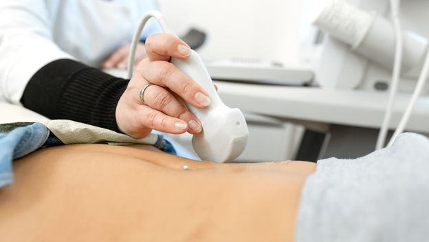 Pregled jetre, ilustracija