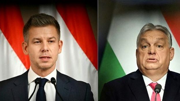 Peter Magyar, Viktor Orban