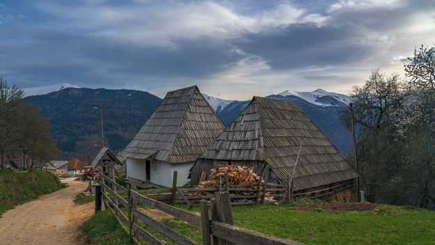 Obojak - 5