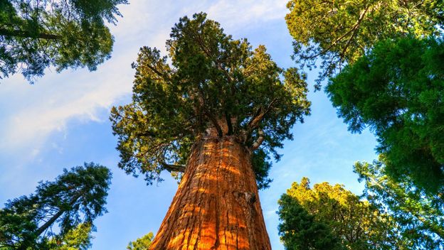 Kviz općeg znanja - 2