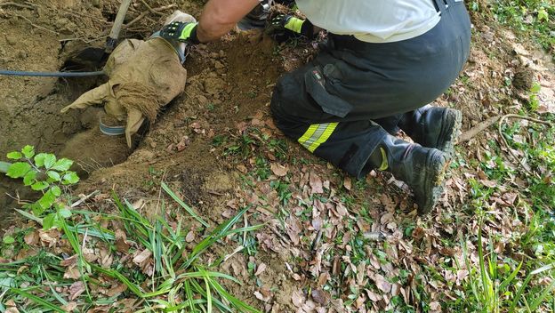 Izvlačenje kobile iz jame