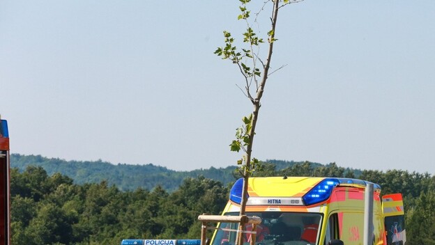 Policija, ilustracija