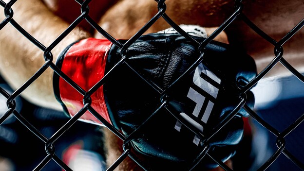 UFC