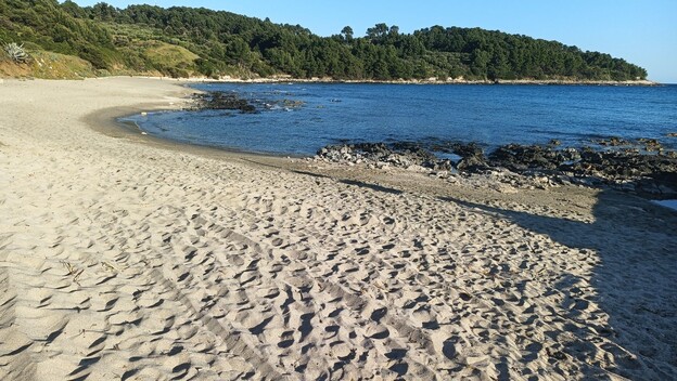 Plaža Pržina