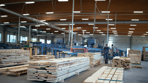 Ilustracija; Drvna industrija Bjelin