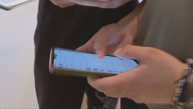 Stižu nova pravila za baterije