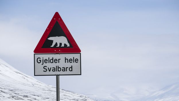 Upozorenje na Svalbardu