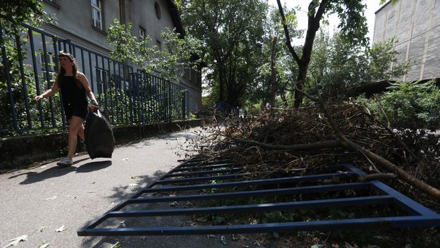 Stabla u širem centru Zagreba - 3