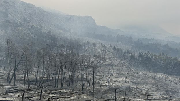 Opožareno područje Parka prirode Biokovo - 1