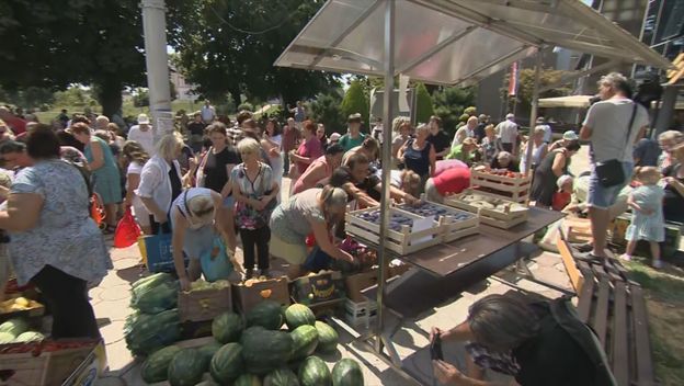 Dijeljenje povrća u Virovitici - 3