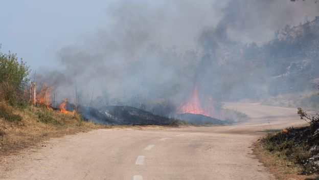 Požar u Tučepima - 8