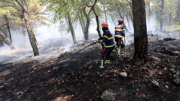 Požar u Podgori i Tučepima