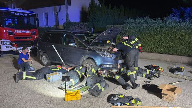 Austrijski vatrogasci spasili su mačku iz motora automobila - 1