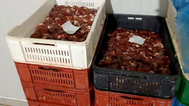 Policija u Srbiji pronašla 40 tona mesa zaraženog salmonelom - 2