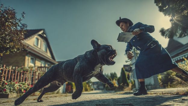 Francuski buldog napao poštaricu (AI)