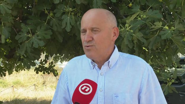 Branko Bačić