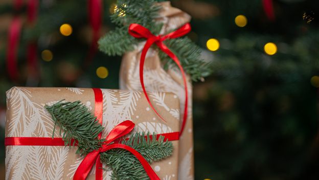 Poklon pod borom, ilustracija