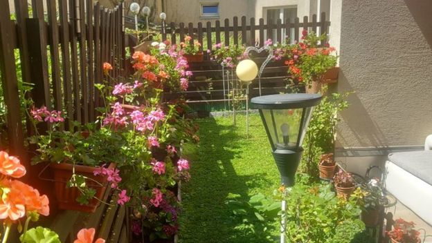 Vrt Nataše Marinković izgleda poput male oaze sreće - 10