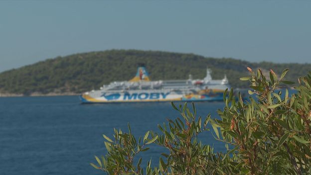 Moby Drea
