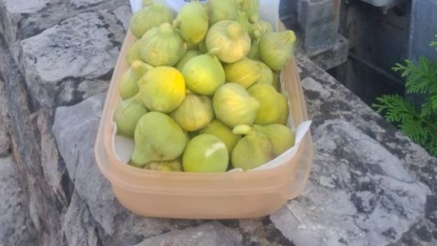 Košara puna smokvi u Malinskoj