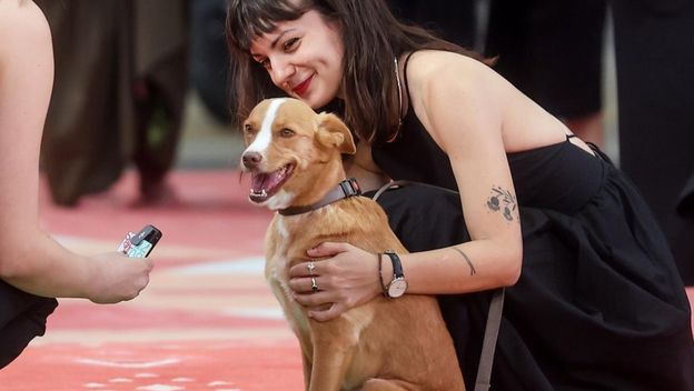 Pas Lija na Sarajevo Film Festivalu - 8