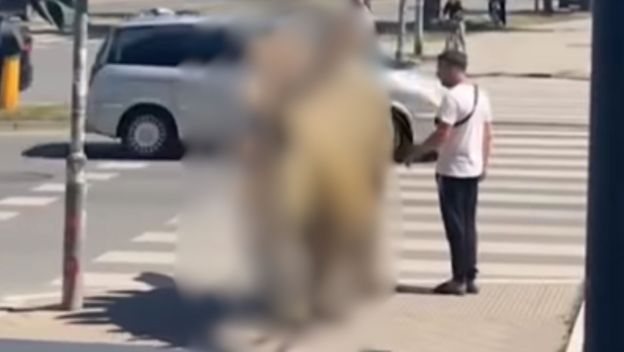 Muškarac kako hoda Srbijom s dinosaurom