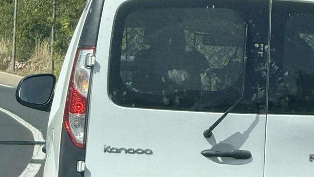 Automobil