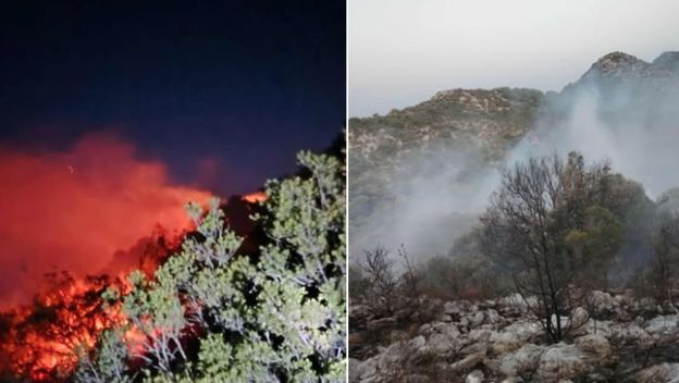 Požar na otoku Mljetu