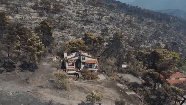 Posljedice požara u Grčkoj - 3