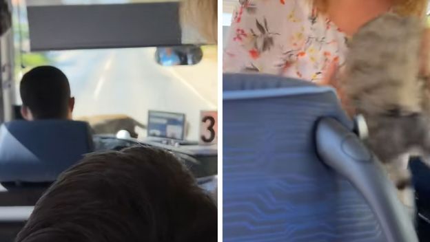 Životinja u autobusu