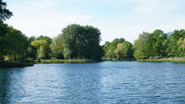 Jezero Feldmochinger See