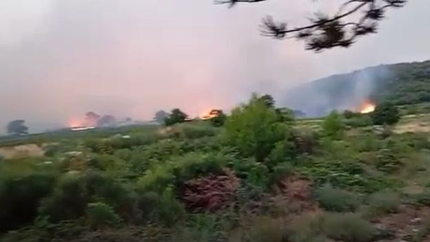 Požar u Kuni Pelješkoj