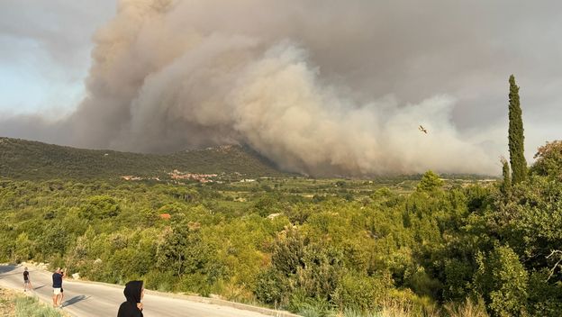 Požar na Pelješcu