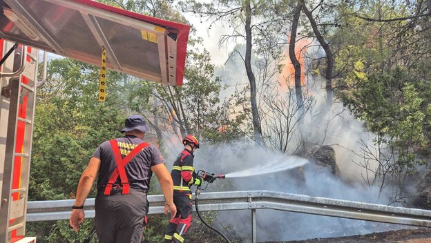 Vatrogasci gase požar na Pelješcu - 2