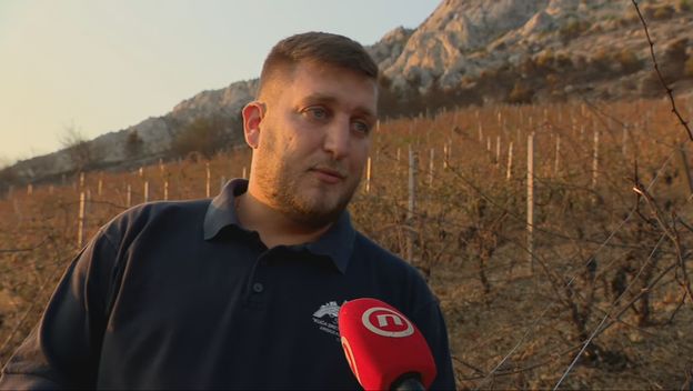 Marko Mimica, vinar