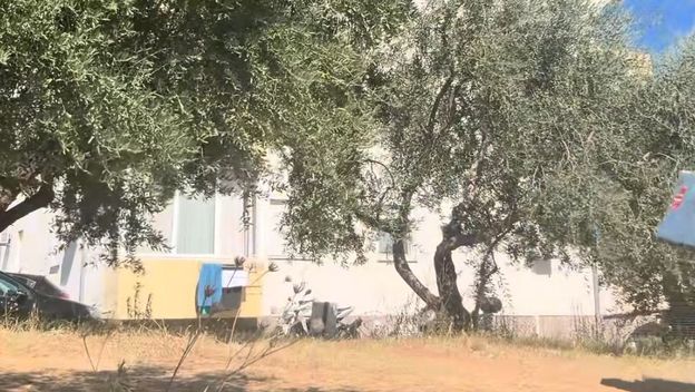 Skeč
