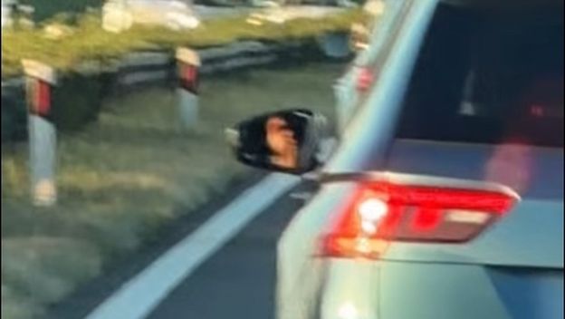 Prizor na autocesti