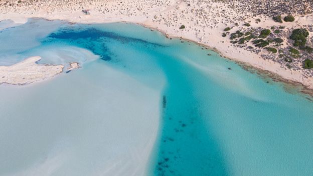 Ilustracija
