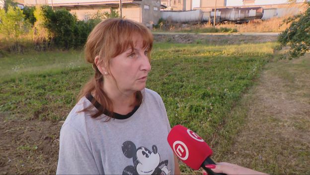 Željka Šikić