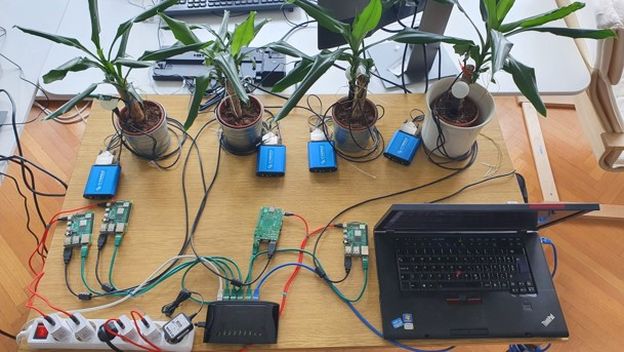 Roboti komuniciraju s biljkama