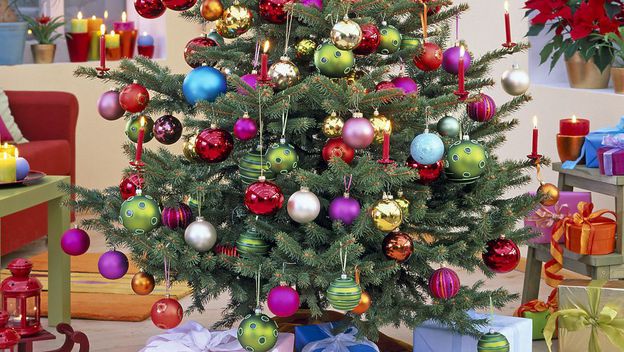 Šarena božićna drvca unose posebno veselje u dom