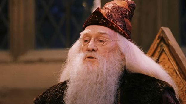 Richard Harris, Dumbledore