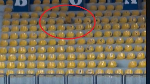 Stolice u Draženovu domu