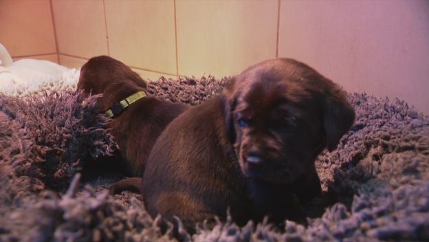 Centar Silver slavi 17 godina