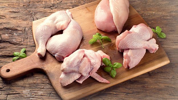 Piletina, ilustracija