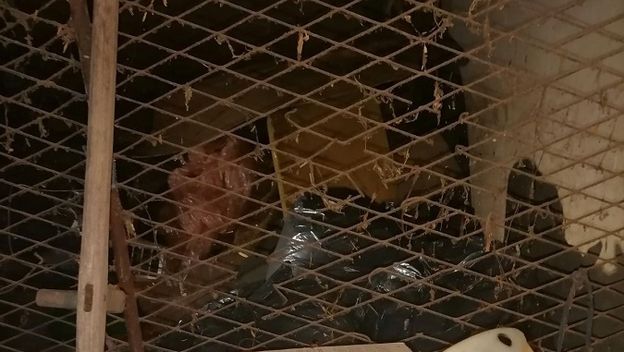 Zaplijena duhana - 3