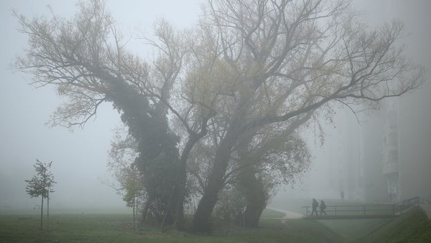 Magla na Srednjacima, ilustracija