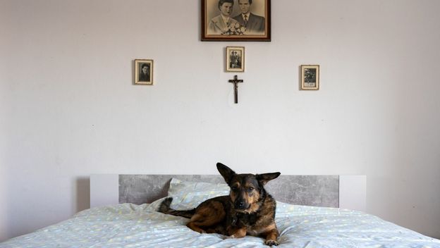 Luka Dubroja: The Gaze - 4